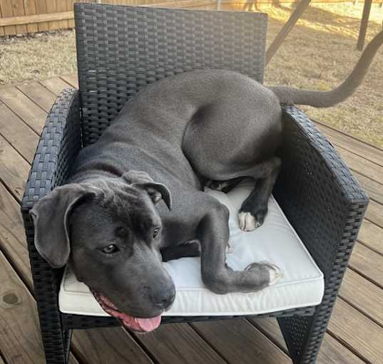 Photo of Cocoa I (New Digs)