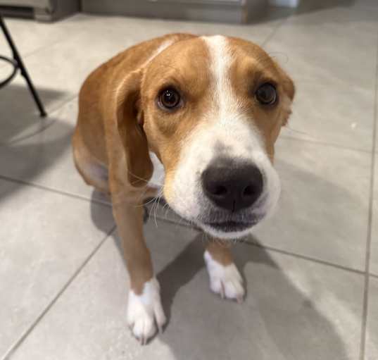 Photo of Zeus