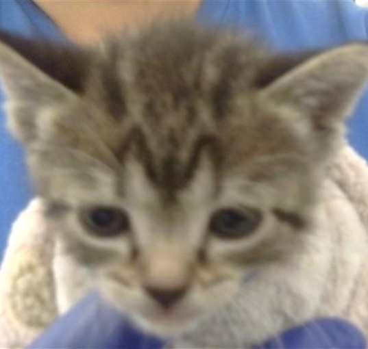 Photo of TUCKER