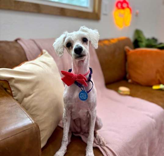 Photo of Buffy