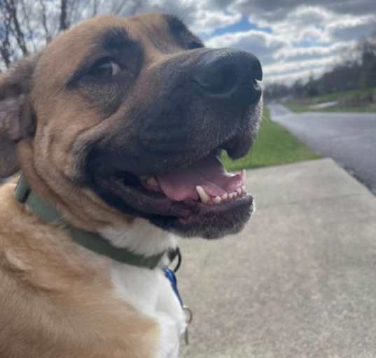 Photo of Cash