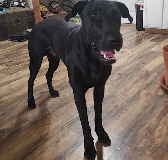 Photo of Bruce