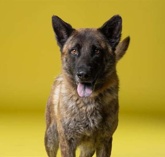 Photo of RUFUS