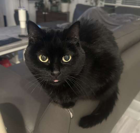 Photo of Betty