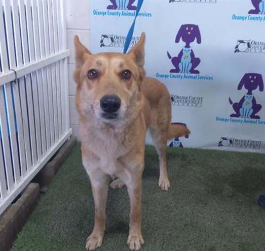 Photo of NYLA