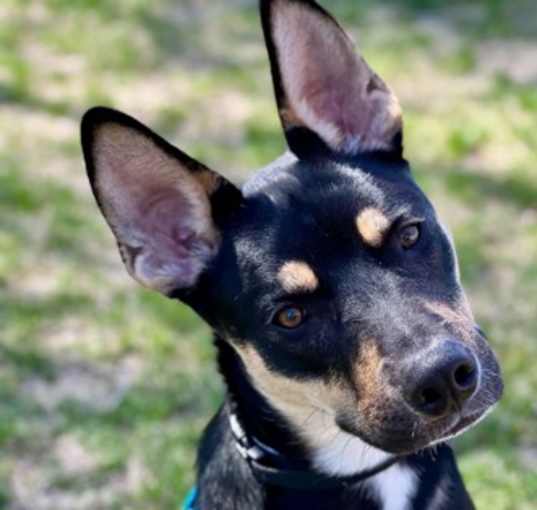 Photo of Sprout