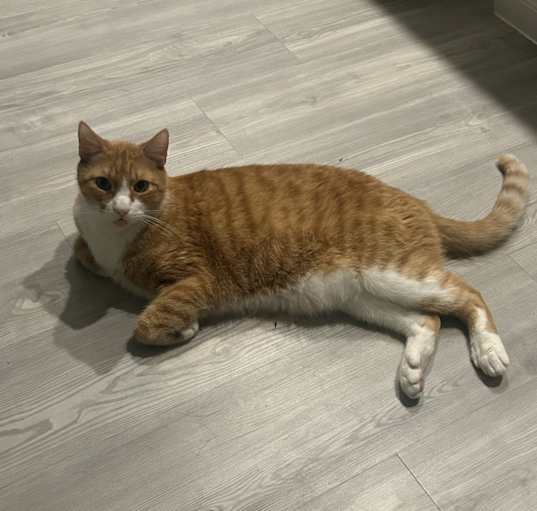 Photo of Leonard