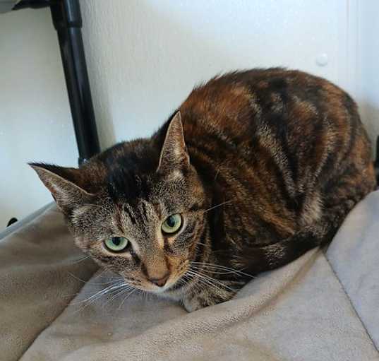 Photo of Winry