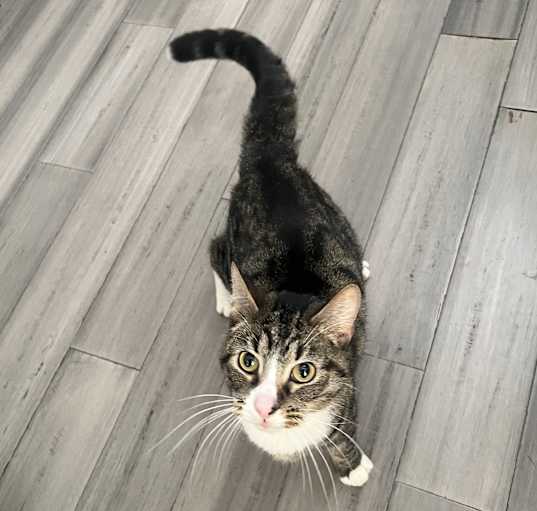 Photo of Bean