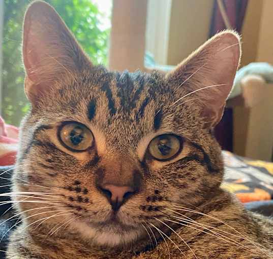 Photo of Mr. Tiddlywinks