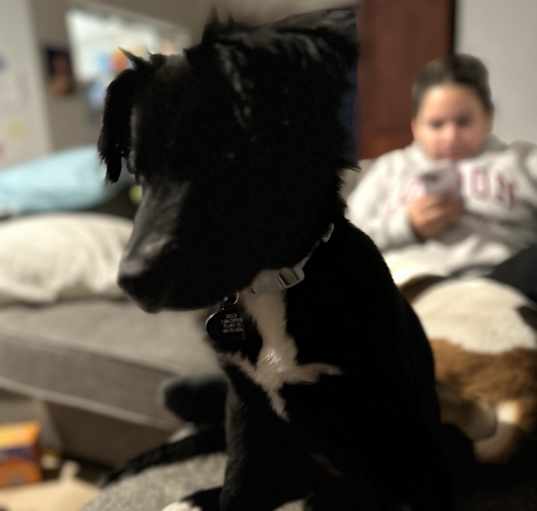 Photo of Holly
