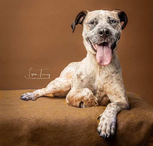 Photo of Boggle (sponsored)