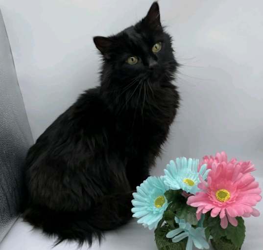 Photo of Ebbi