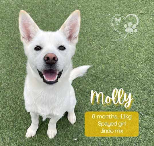 Photo of Molly