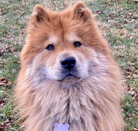 Photo of Muffy