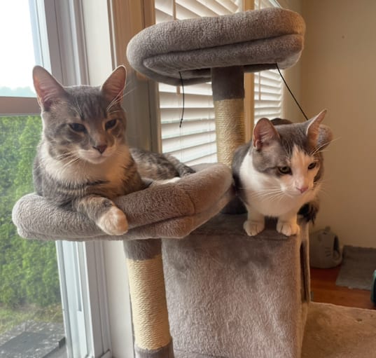 Photo of Mackie & Winter