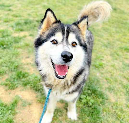 Photo of LUNA