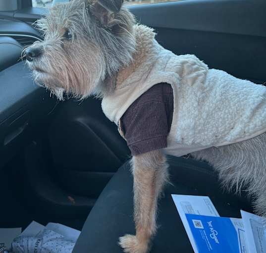 Photo of Gizmo