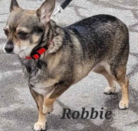 Photo of Robbie