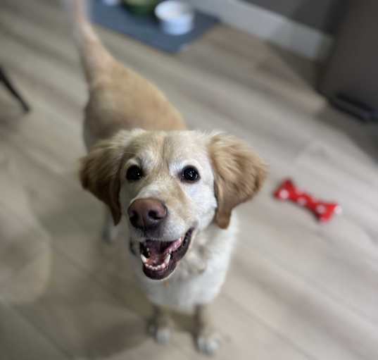 Photo of Atlas