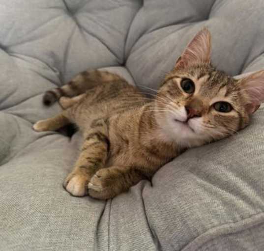 Photo of Blossom
