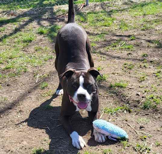 Photo of Hex