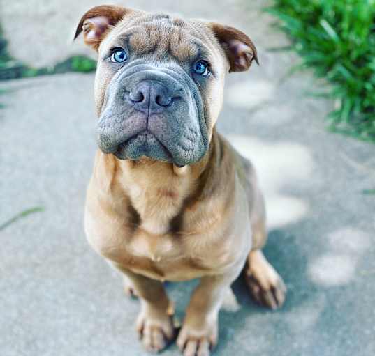 Photo of Mack
