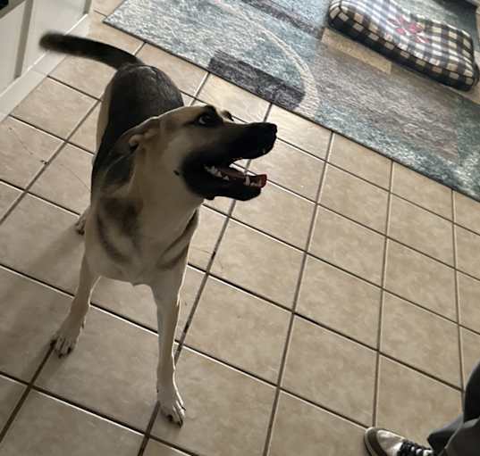 Photo of Ghost