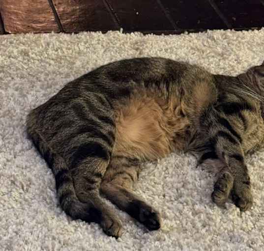Photo of Jazz