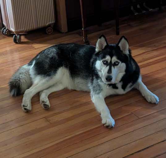 Photo of SHEBA