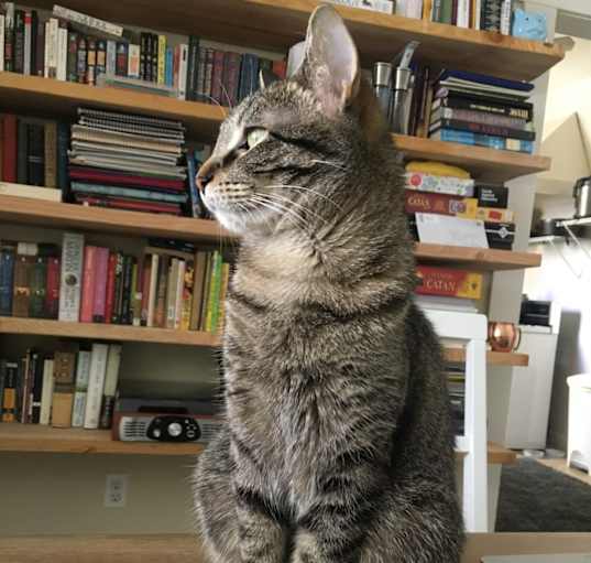 Photo of June