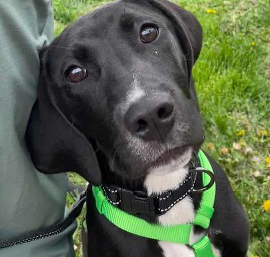 Photo of Bert
