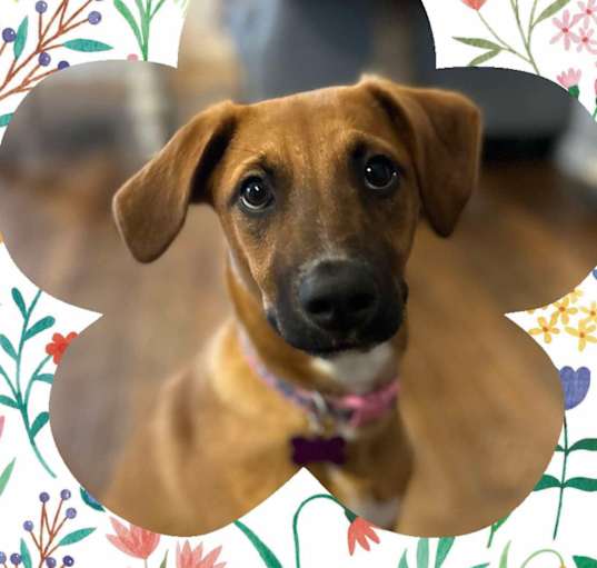 Photo of Maggie