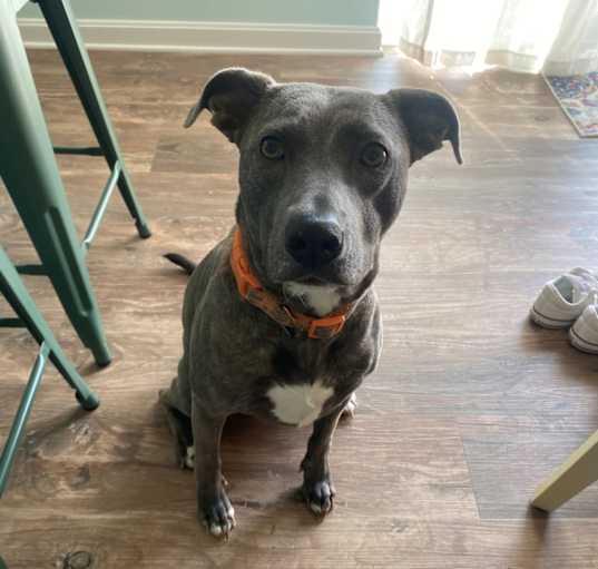 Photo of Penelope