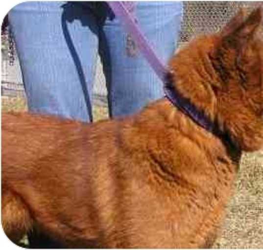Photo of THELMA