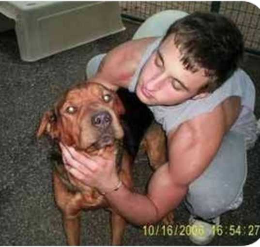 Photo of Lucky