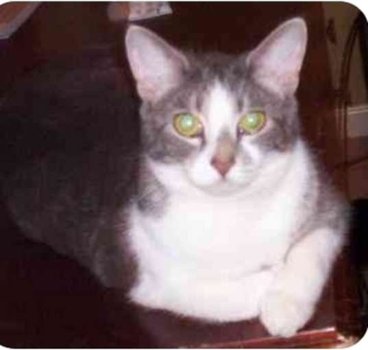 Photo of Star
