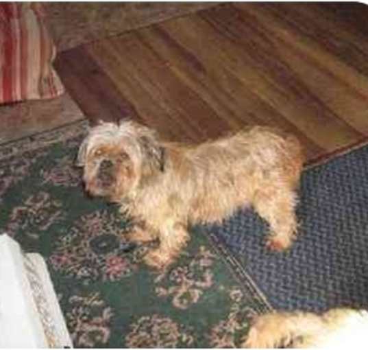 Photo of Roxie
