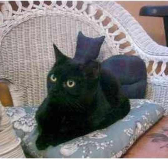 Photo of Agatha