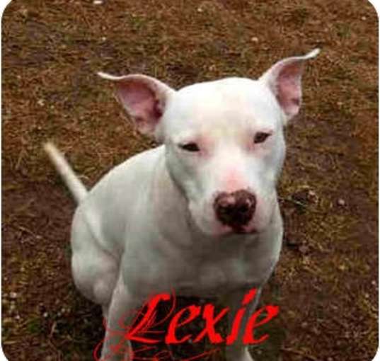 Photo of Lexie