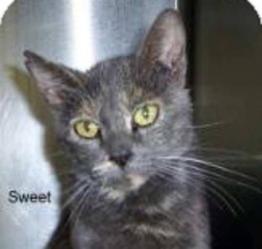 Photo of Juliette, SF, 185