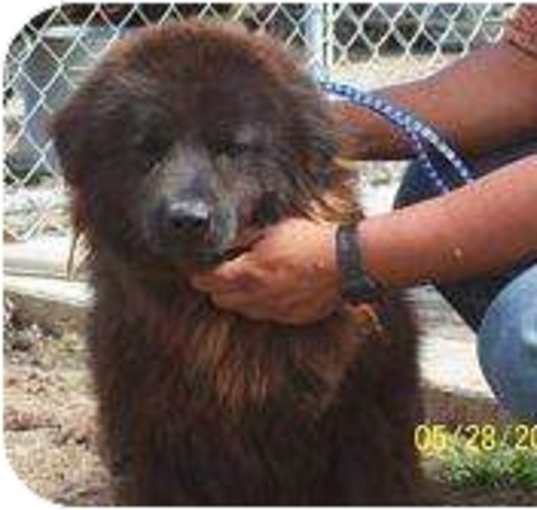Photo of buster