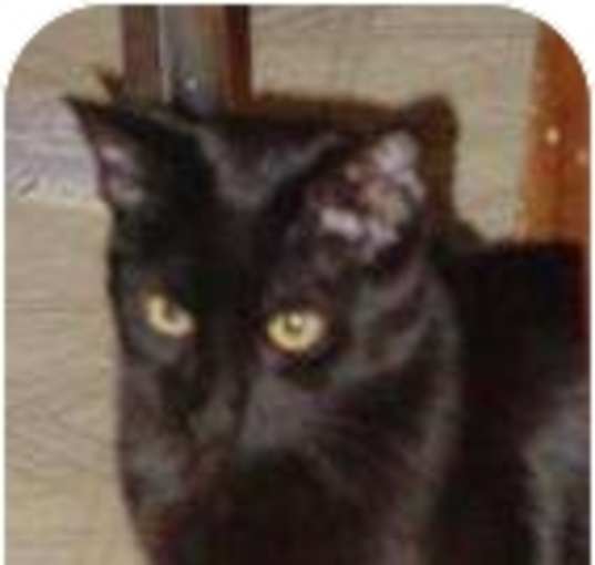 Photo of Nikkie