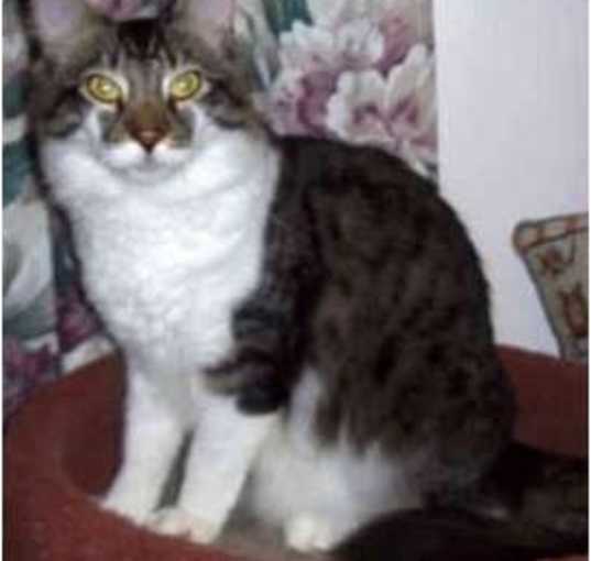Photo of Trevor