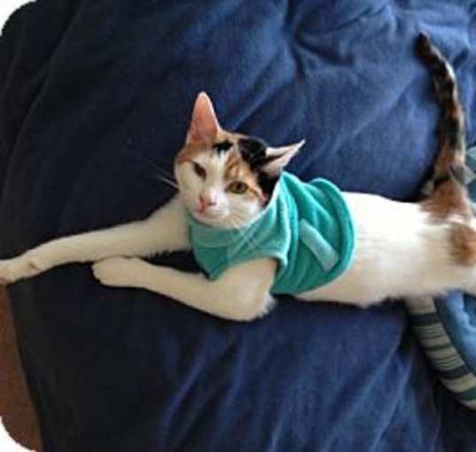 Photo of Sophie