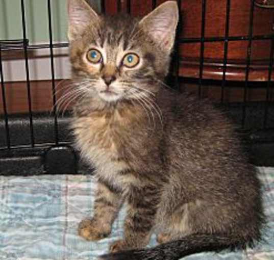 Photo of Tufts