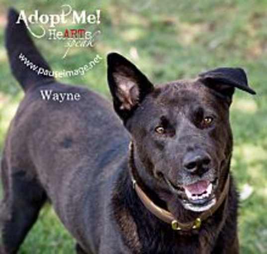 Photo of Wayne