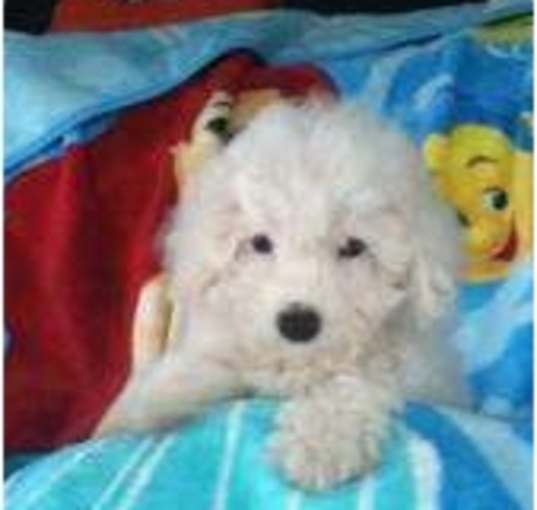 Photo of Baby101110