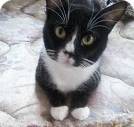 Photo of Toby