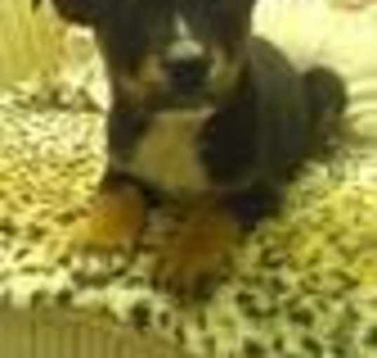 Photo of Titan